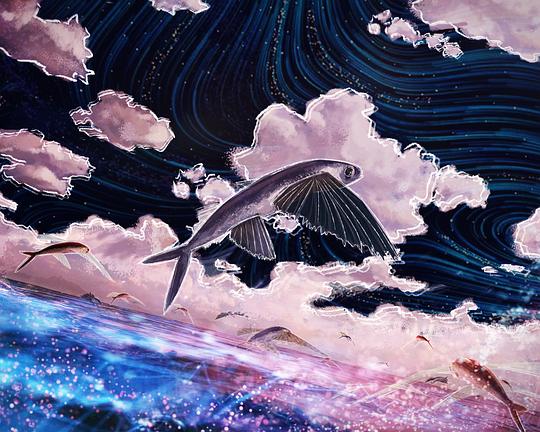 《黑色的翅膀》电影封面