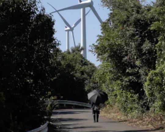 《遠い声》电影封面