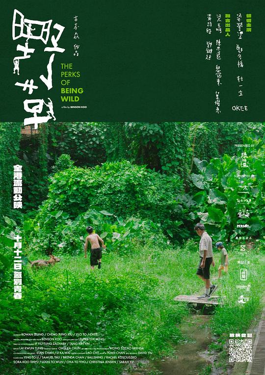 《野草》纪录片封面