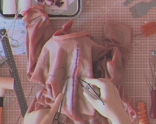 《後人類醫院》动画封面