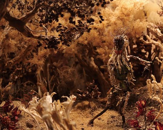 《化》动画封面