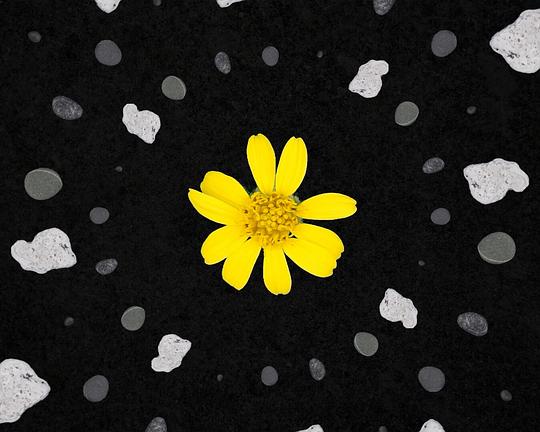 《Tanatanetek》动画封面