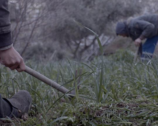 《Still Waters》电影封面