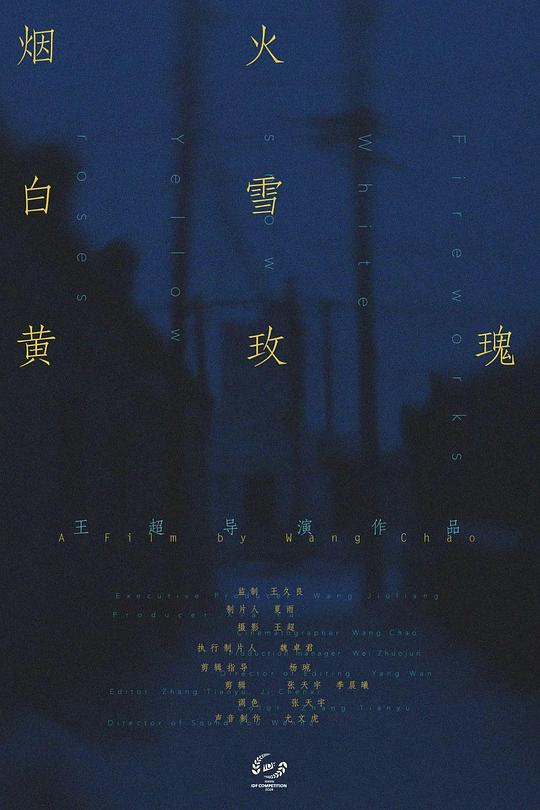 《烟火白雪黄玫瑰》纪录片封面