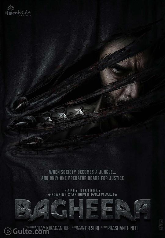 《巴希拉：正义执行》电影封面