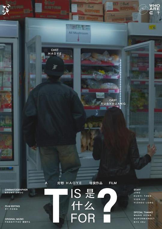 《T是什么？》电影封面