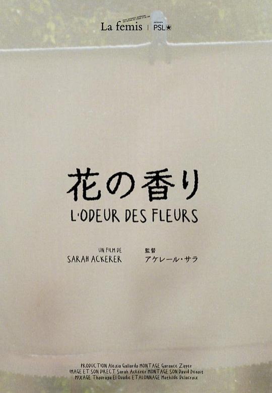 《花之香》纪录片封面