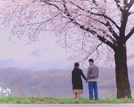 《동그랑땡》电影封面