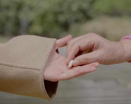 《模拟人类生存报告》电影封面