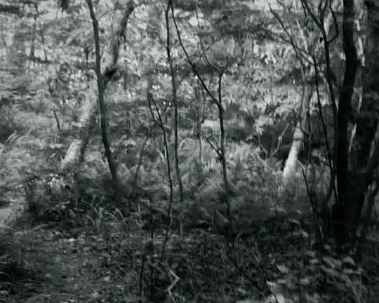 《來自破碎歲月的信》纪录片封面