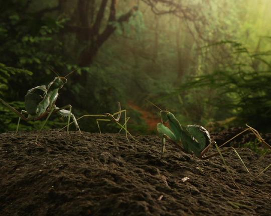 《Club Bunker》电影封面