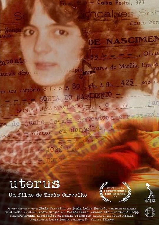 《子宫》电影封面