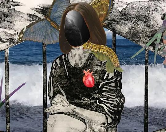 《你我的碎片》电影封面