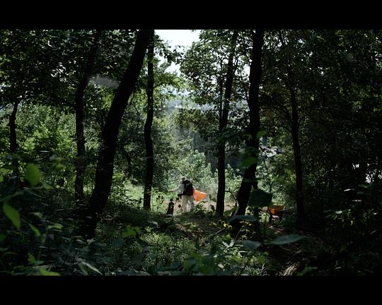 《蜂巢》电影封面