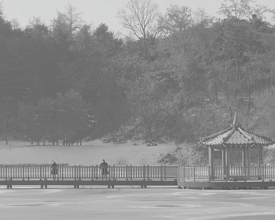 《永恒的雪》电影封面