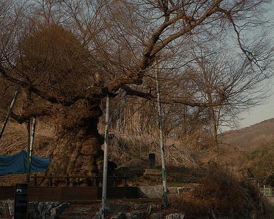 《岛屿与运动》电影封面