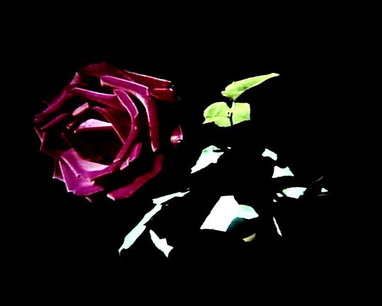 《无瑕花园》电影封面