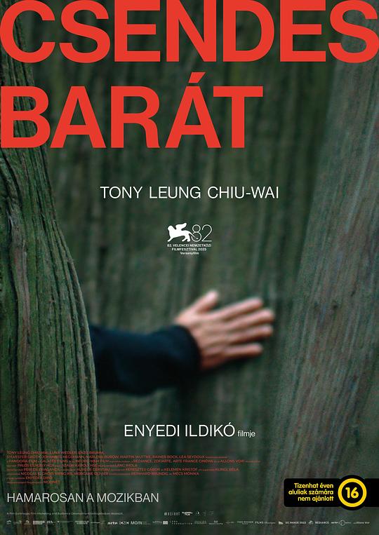 《寂静的朋友》电影封面