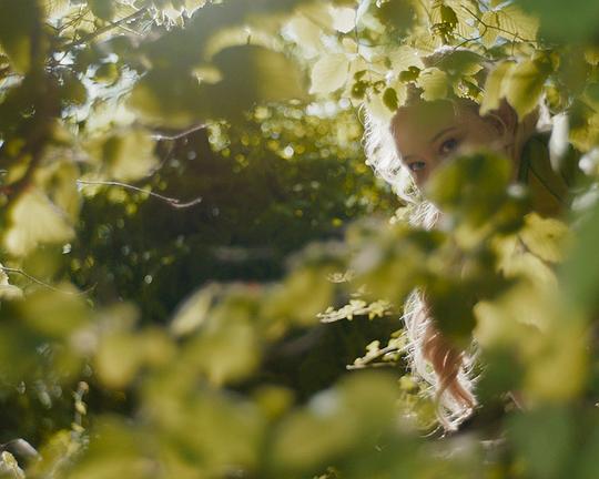 《远方的魔法树》电影封面