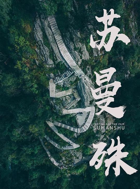 《苏曼殊》电影封面