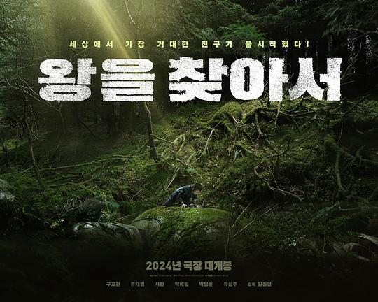 《寻找国王》电影封面