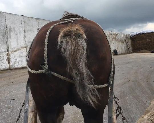 《Lessons of “Chemistry”》纪录片封面