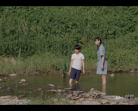 《蚁鴷》电影封面