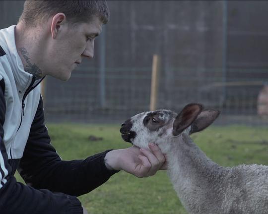 《Beyond the Fold》纪录片封面