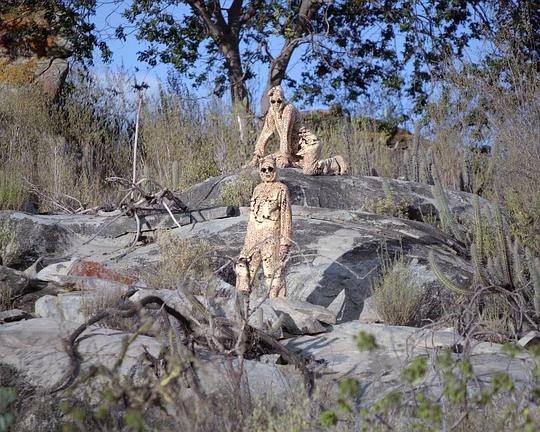 《Cuitá, Stone from the Sky》纪录片封面