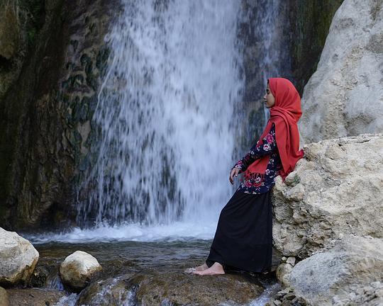 《野生橡树之梦》纪录片封面