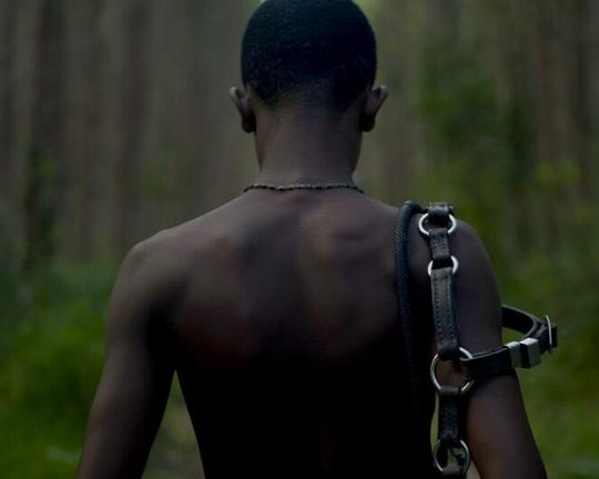 《Helvécia》纪录片封面