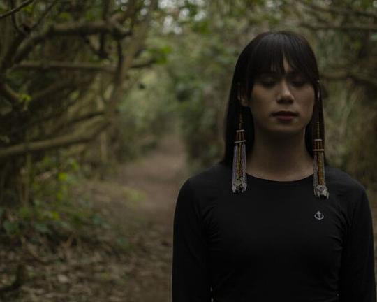 《歌舞的我們》纪录片封面