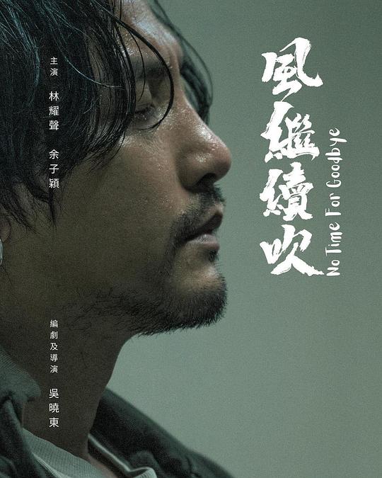 《风继续吹》电影封面