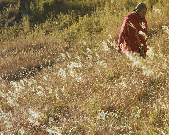 《高山游民》纪录片封面
