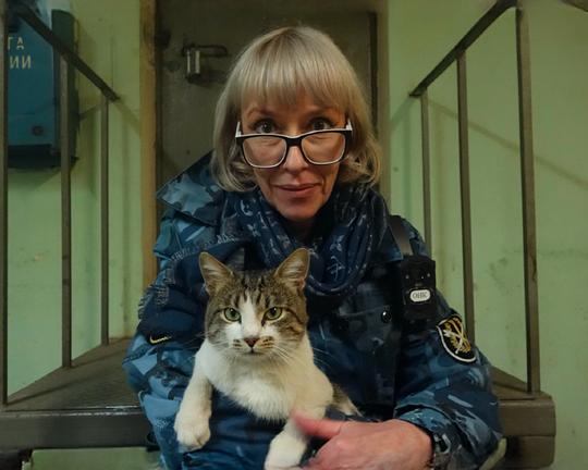 《Not so far away places》纪录片封面