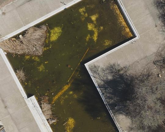 《HUNGRY – Tipping the Scales》纪录片封面