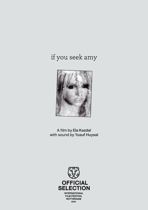 《If You Seek Amy》电影封面
