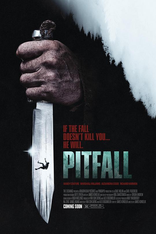 《Pitfall》电影封面