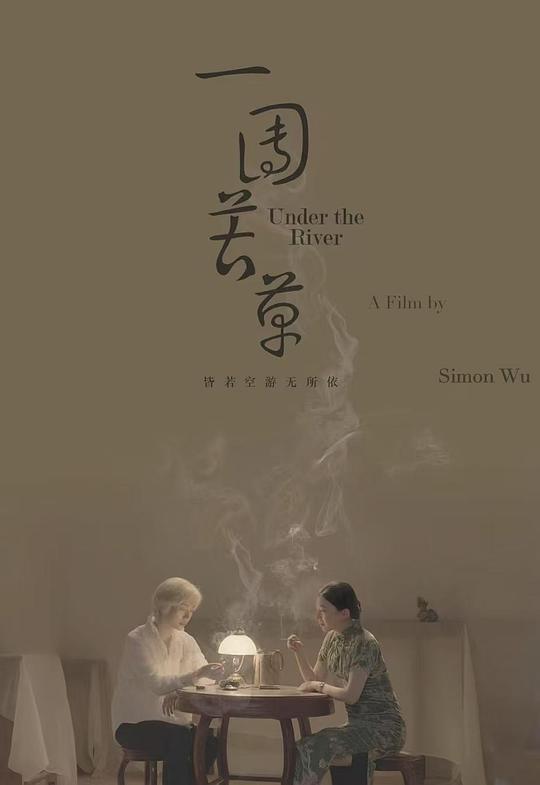 《一团苦草》电影封面