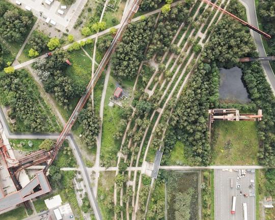 《Not Your Sister》电影封面