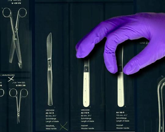 《The Fall》电影封面