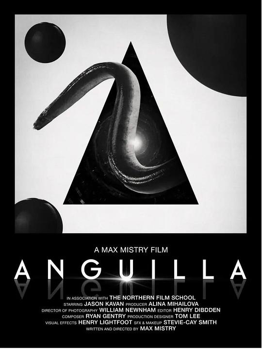 《安圭拉》电影封面