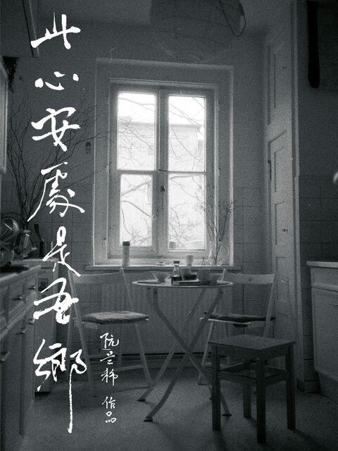 《此心安处是吾乡》纪录片封面