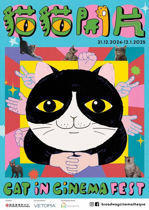 《本地猫猫短片》纪录片封面