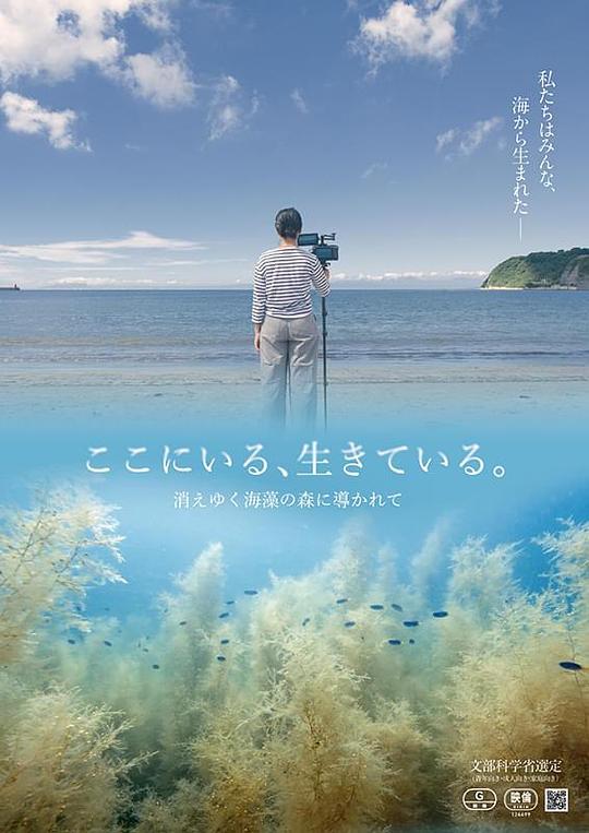 《ここにいる、生きている。～消えゆく海藻の森に導かれて～》纪录片封面