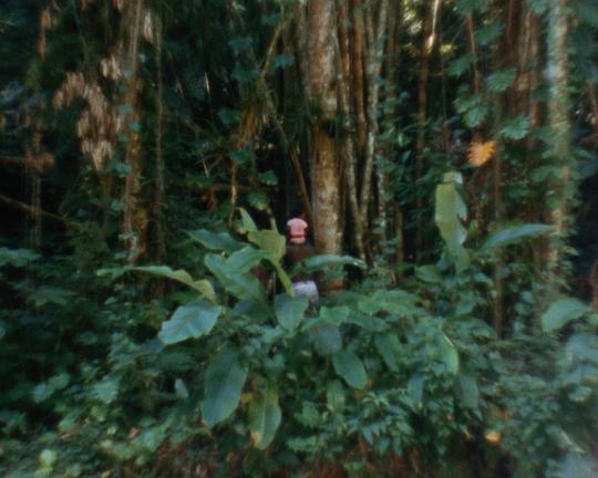 《a river holds a perfect memory》电影封面