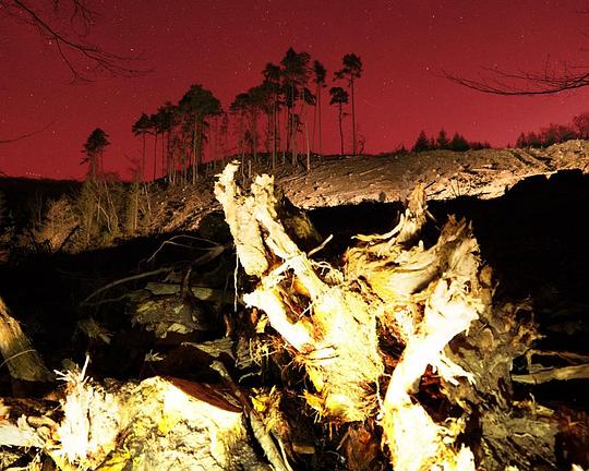 《Saarvocado》纪录片封面