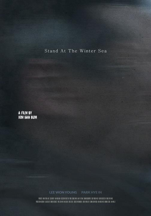 《Stand at the Winter Sea》电影封面