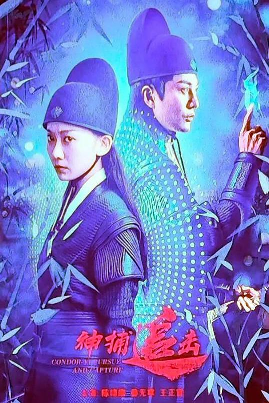 《神捕追击》电影封面