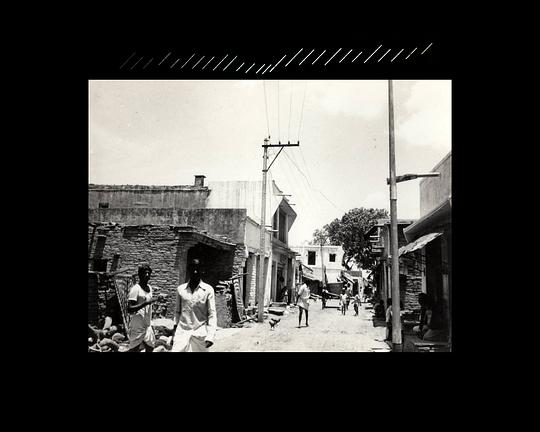 《在那平静湖面之下》电影封面